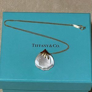 Rare TIFFANY & CO. x Angela Cummings MOP 18k Pendant/Brooch